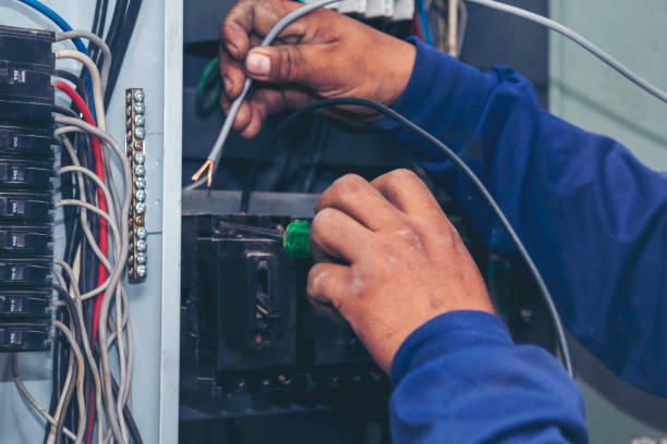 Best Electrician for Home Renovation  in Parkston, SD